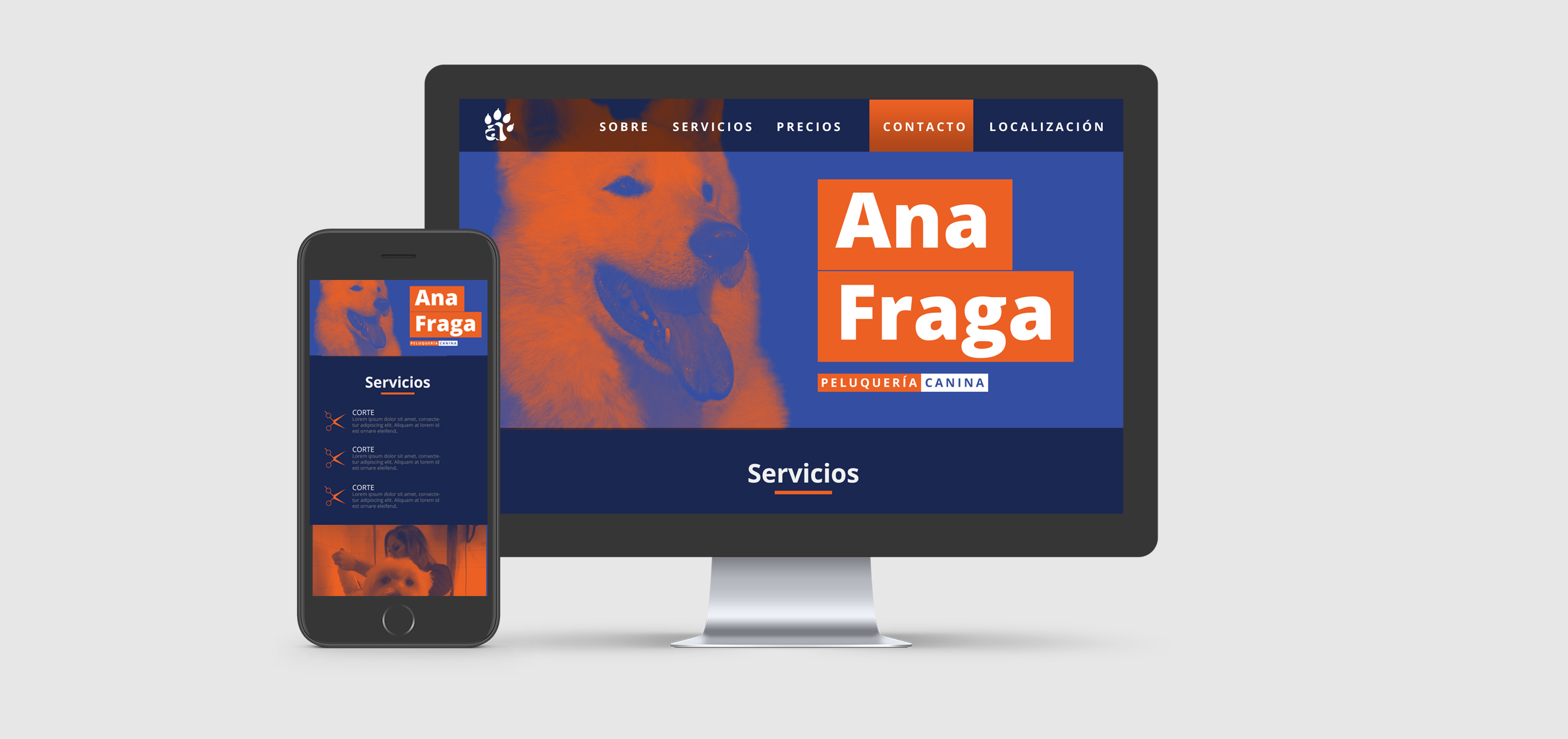 Web Ana Fraga